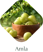 amla